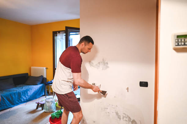 Professional Mold Removal in Solvang, CA